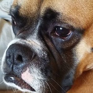 Meet your Posher, Cheryl